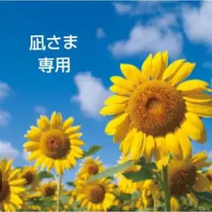 中学期末テスト 中学テスト 中学中間テスト　中学1年 中学単元テスト