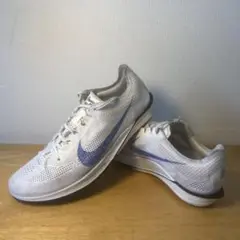 Item thumbnail for item 66bc1e4f-018a-4b1a-bc9a-5cb6a7d048c2