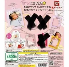3種類　たまごクラブひよこクラブのだれでもアクリルチャーム