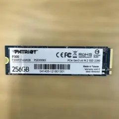 PATRIOT P300 256GB SSD M.2