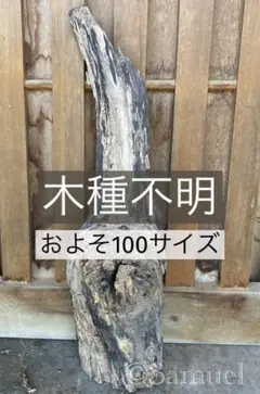 Item thumbnail for item 5bae7415-463b-455b-aa5b-fdcfafda701f