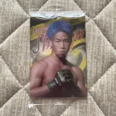 RIZIN ポテトスティック　神龍誠