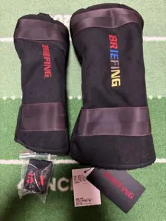 Item thumbnail for item 8654fe78-1812-4319-a922-fab437a66235