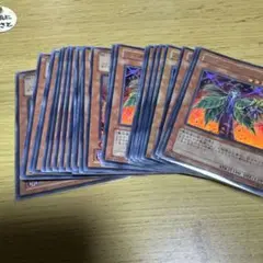 遊戯王　バイオレットウィッチ　ウルトラ　27枚　45137