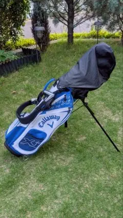 Item thumbnail for item 2311c8b8-b079-4b48-a080-6f3c52b523cd