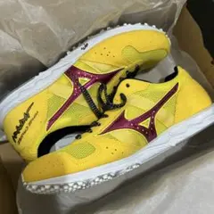 Item thumbnail for item 027f498c-090a-4ba8-94f1-e2f3419acf97