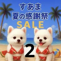 ✨夏の感謝祭セール✨パネル【Ｎｏ．2】