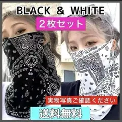 Item thumbnail for item e09e047a-5a08-474b-8317-1ffa6bb39f95