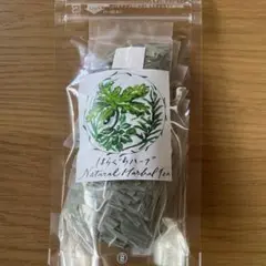 Item thumbnail for item 81b78caa-68f9-43a6-b2db-cebcbfde454a