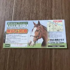 乗馬体験　無料券