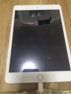 iPad mini3
