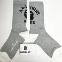 Item thumbnail for item 62323cc9-84b3-4a1a-9566-db9e9a6a6d12