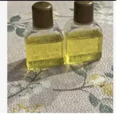 Item thumbnail for item 69ad77fa-bff3-4096-b18b-cdc33e23dafb