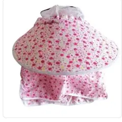 Item thumbnail for item 8d09a796-a5c1-4367-8ecf-f30a4ed0f6df