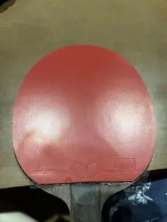ディグニクス80