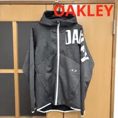 Item thumbnail for item 37036d62-7b67-45e0-8c92-201fbfe9284d