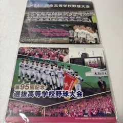 超希少　大垣日大野球部ユニホーム 超希少大垣日大野球部ユニホーム