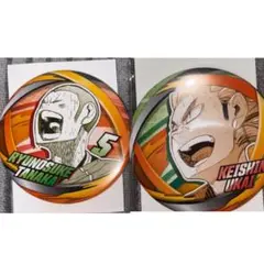 ハイキュー ファンパーク コレクション缶バッジ 田中龍之介・烏養繋心 2点セット