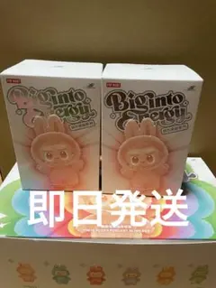 【正規品・未開封】Labubu Big into Energy 2箱