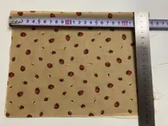 マギーエンジェルコットン