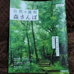 自然を満喫 森さんぽ