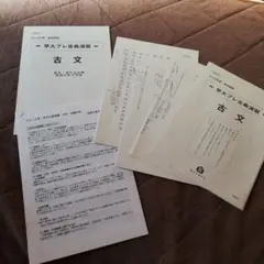 駿台早大プレ古典演習
