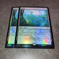 繁殖池　通常foil 2枚セット　日本語　MTG