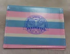 昭和レトロパスケース新品