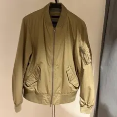 Item thumbnail for item 88dc16e6-9ec1-4a1f-854c-b17caee5989a