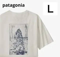 訳あり パタゴニア Tシャツ 半袖 シャツ トップス 37545
