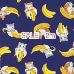 SALE 2m 猫とバナナ ネイビー オックス
