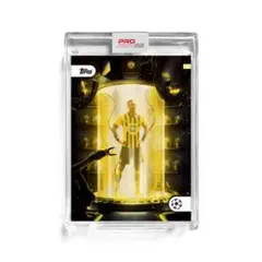 ジュード ベリンガム ボルシア ドルトムント TOPPS PROJECT22