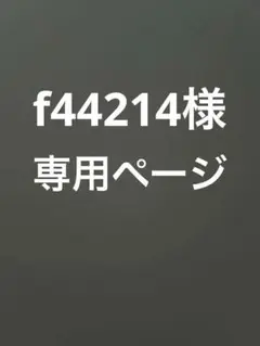 専用ページ ノースフェイスTシャツ