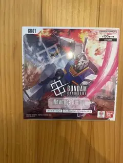 ニュータイプライジングNewtype Rising GD01 1ボックス未開封