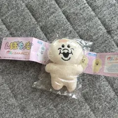 んぽちゃむ かぷっこふれんず きみまろ ガチャ
