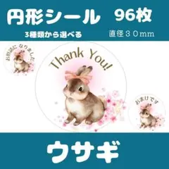 【ウサギ】丸シール　ケアシール　サンキューシール　96枚　選べる　３種類