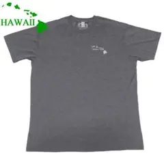 HA ATHLETICS ハワイ諸島 プリント サーフシャツ ドライ シャツ