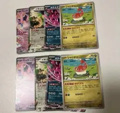キチキギスex ミュウex イキリンコex シャリタツ　各2枚 匿名発送