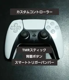 PS5 コントローラー DualSense TMRスティック　カスタム　FPS