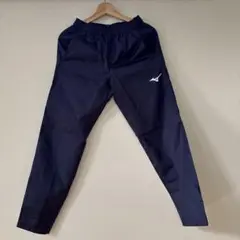 Item thumbnail for item a856282d-f779-4b05-b31f-eb0df50dba8d