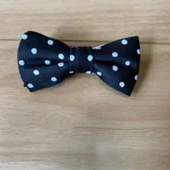 Item thumbnail for item 0e704027-b066-4625-a9d2-a0bedbbfb0af