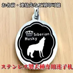 Item thumbnail for item 4b56ab53-39dc-4852-8891-2e3b5a61ec95