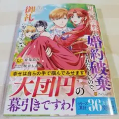 可愛い義妹が婚約破棄されたらしいので、今から「御礼」に参ります。 (5)