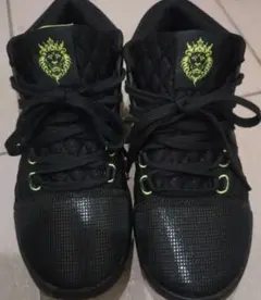 NIKE　レブロンウィットネス VIII EP　FB2237-002　24cm
