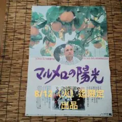 希少品　マルメロの陽光(1992年スペイン)DVD 日本版 マルメロの陽光 初回版【廃盤・中古DVD】