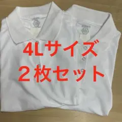 訳あり4Lサイズ速乾素材半袖ポロシャツ白2枚セット