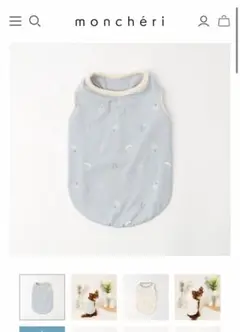 Item thumbnail for item a566b047-0f6c-4c4f-9cd9-8b374cd10ede