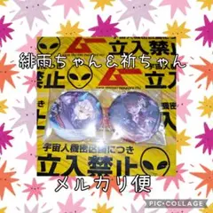 小笠原緋雨 夏目祈 セット 缶バッジ ヘブンバーンズレッド ヘブバン