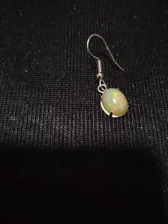 Item thumbnail for item 40579555-5f50-4962-b660-b373525800ac