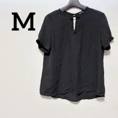 Item thumbnail for item 3b4c4c31-cd6d-44a0-88f8-0b0c444e8075